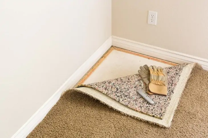 Random Wet Spots On Carpet Mysterious Recurring Helpful Tips