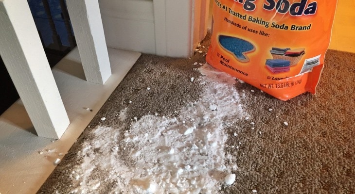 Can Bicarb Soda Stain Carpet Www resnooze