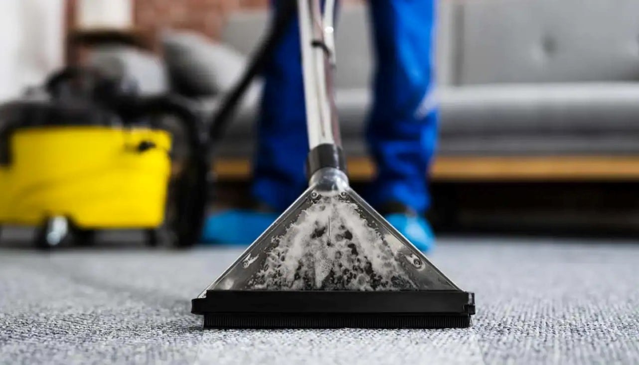 Black Carpet Cleaner Water in Rug What to Do About It?