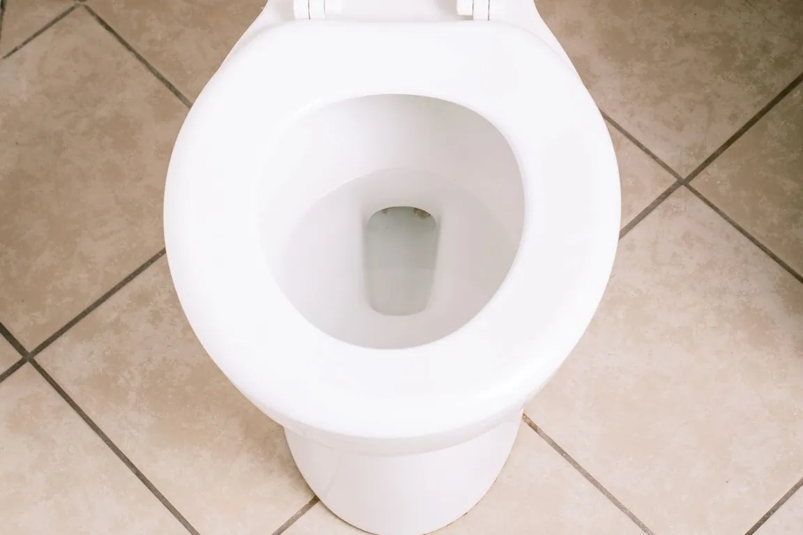 Accidentally Flushed Toilet When Water Was Off? (Guide!)