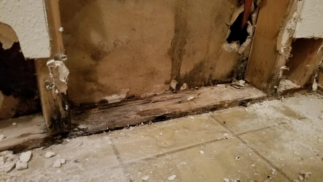 How to Repair Water Damaged Wood A DIY Guide for Homeowners