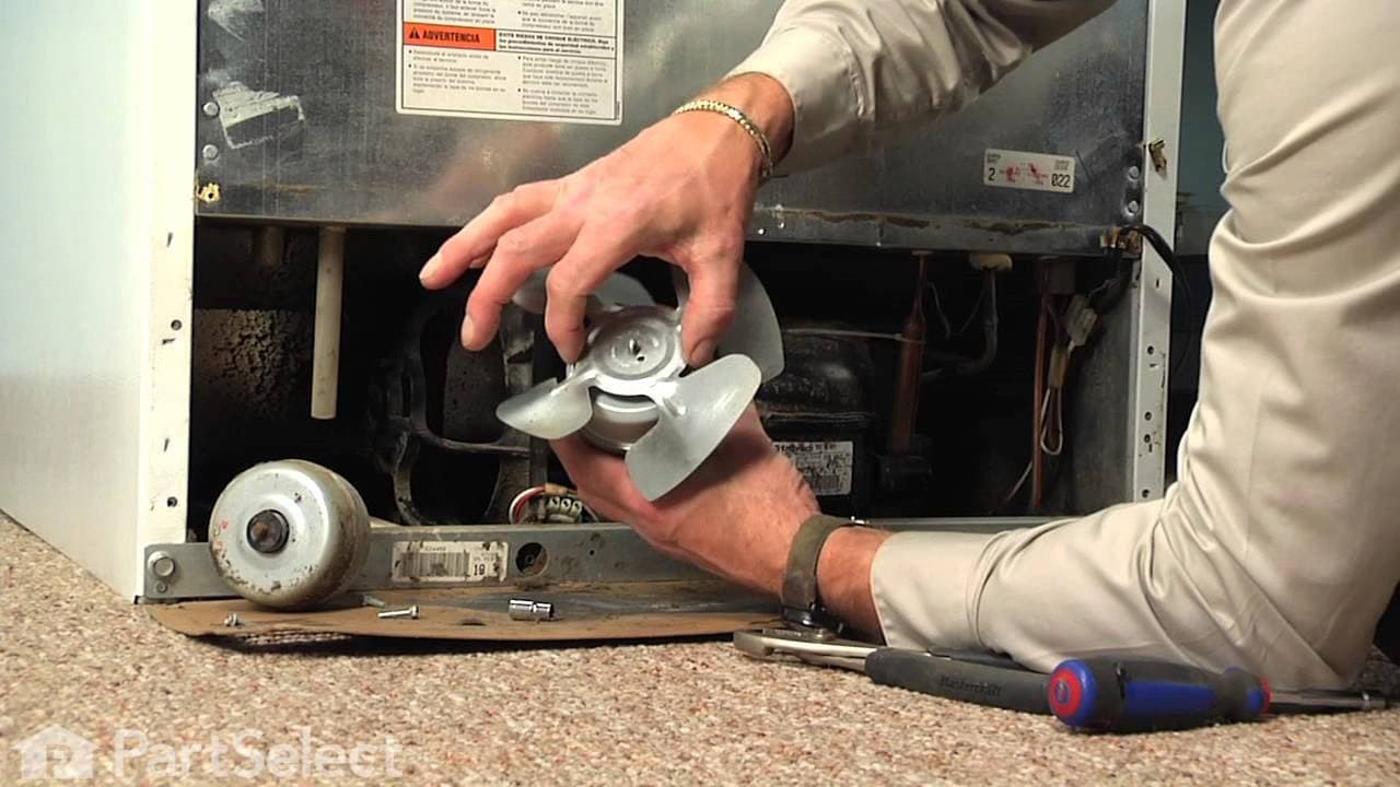 Refrigerator Making Knocking Noise? Causes + Solutions!